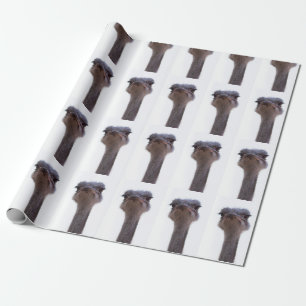 Papel De Regalo avestruz