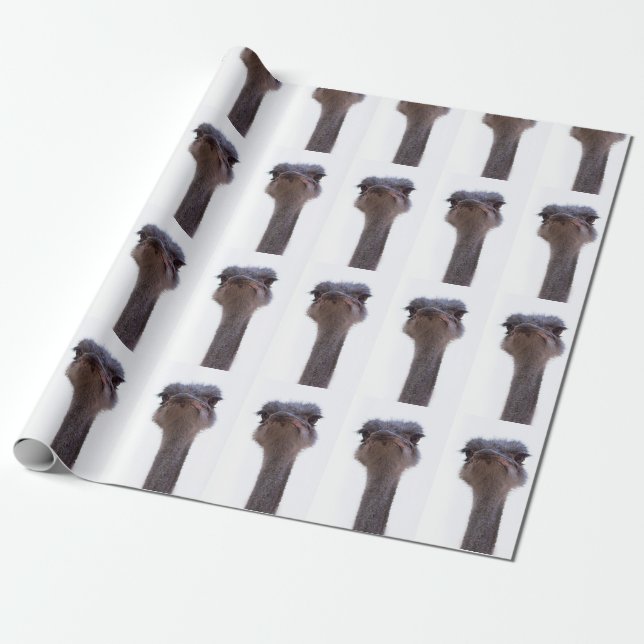 Papel De Regalo avestruz ave (Desenrollado)