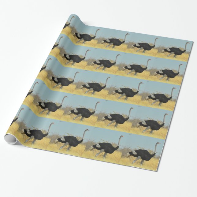 Papel De Regalo Avestruz sale a correr (Desenrollado)