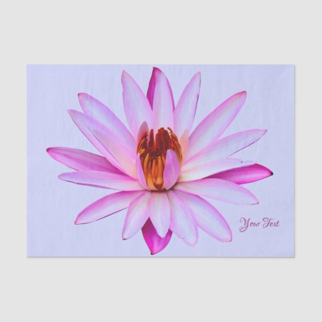 Papel de regalo azul púrpura del papel seda del (Anverso)