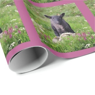 Papel de regalo Baa Baa oveja negra