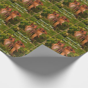 Papel De Regalo Baby Chipmunks Arte Animal Personalizado