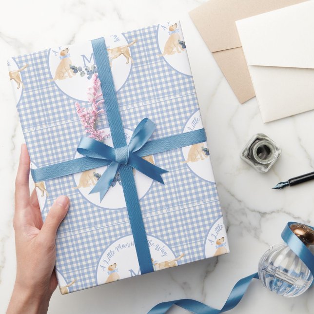 Papel De Regalo Baby Shower de Gingham azul y blanco (Subido por el creador)