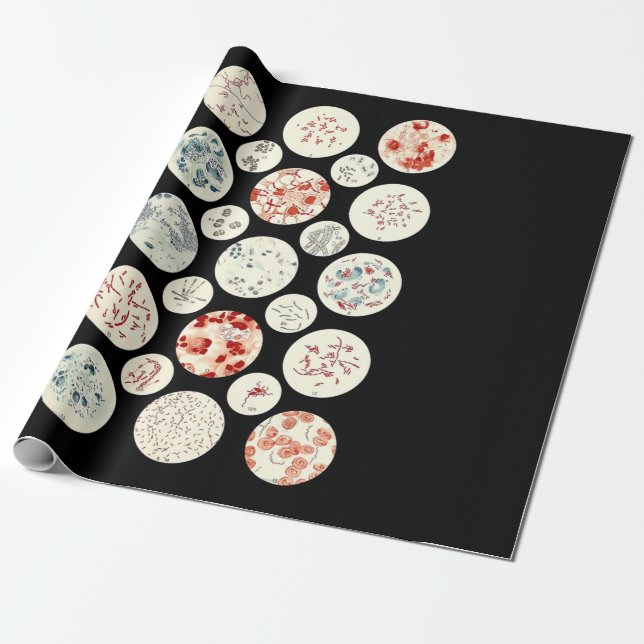 Papel De Regalo bacterias microbiología divertida bacteriología ci (Desenrollado)