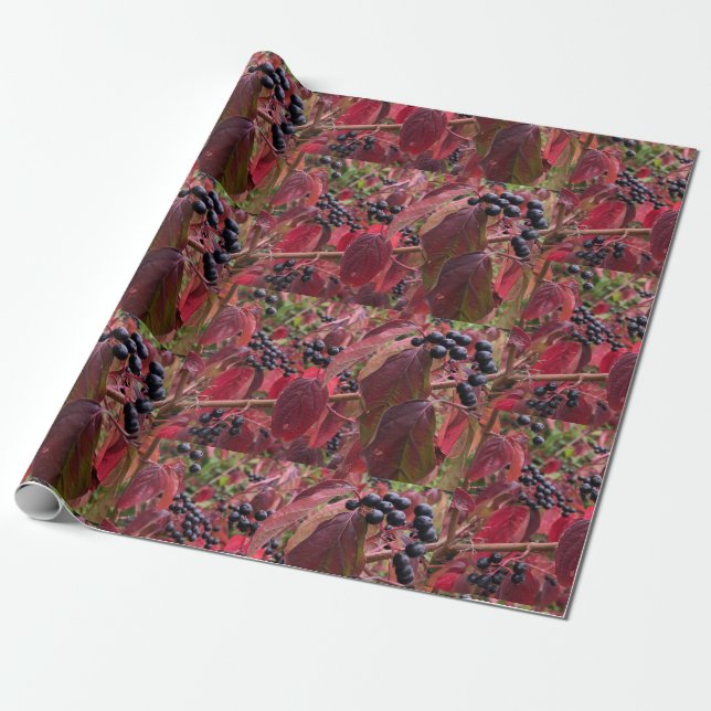 Papel De Regalo Baies et feuilles (Desenrollado)