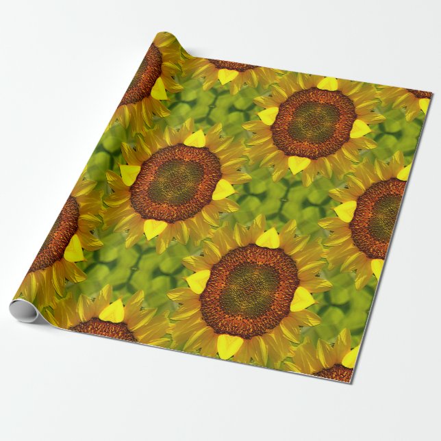 Papel De Regalo Bailando girasoles. (Desenrollado)