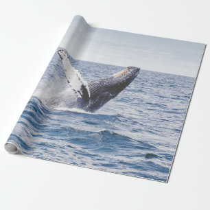 Papel De Regalo Ballenas gigantes salen del océano 