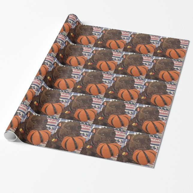 Papel De Regalo ¿Baloncesto cualquier persona? (Desenrollado)