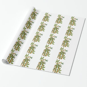 Papel De Regalo Bambú verde aislado sobre fondo blanco