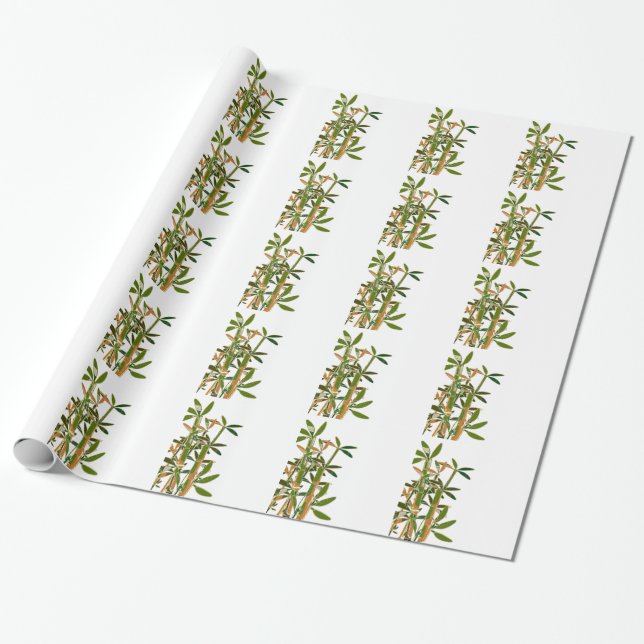 Papel De Regalo Bambú verde aislado sobre fondo blanco (Desenrollado)