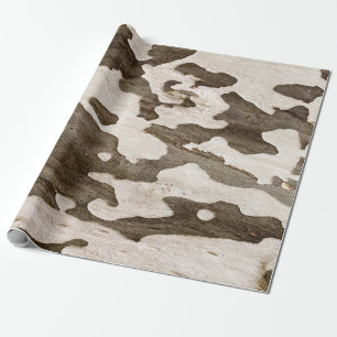 Papel De Regalo Barra de árbol Sycamore