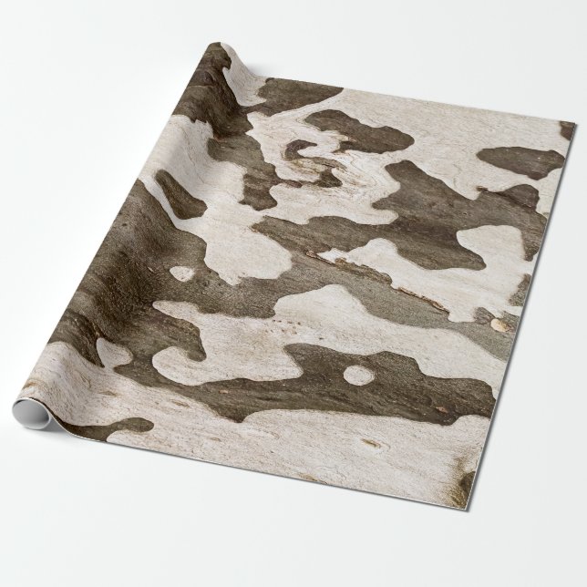 Papel De Regalo Barra de árbol Sycamore (Desenrollado)
