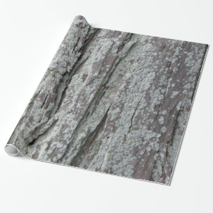 Papel De Regalo Barras de árbol