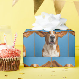 Papel De Regalo Basset Hound sorprendido