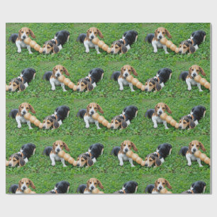 Papel De Regalo Beagle Adorable Cachorros Tocos De Guerra