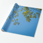 Papel De Regalo beautiful branch with green and yellow leaves hug<br><div class="desc">beautiful branch with green and yellow leaves hugging a clear blue sky . a great design fitting for artists and nature lovers who adore the sight of a beautiful blue sky hugging green and yellow plants and trees. it can also be given as a gift during happy occasions to your...</div>