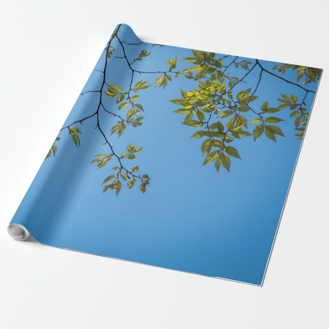 Papel De Regalo beautiful branch with green and yellow leaves hug (Desenrollado)