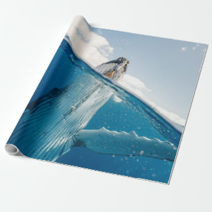 Papel De Regalo Bella ballena enorme