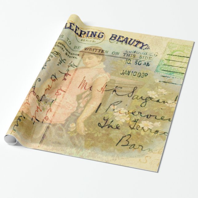 Papel De Regalo Bella durmiente (Desenrollado)