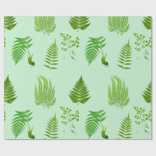 Papel De Regalo Bellas pinturas de helechos de época