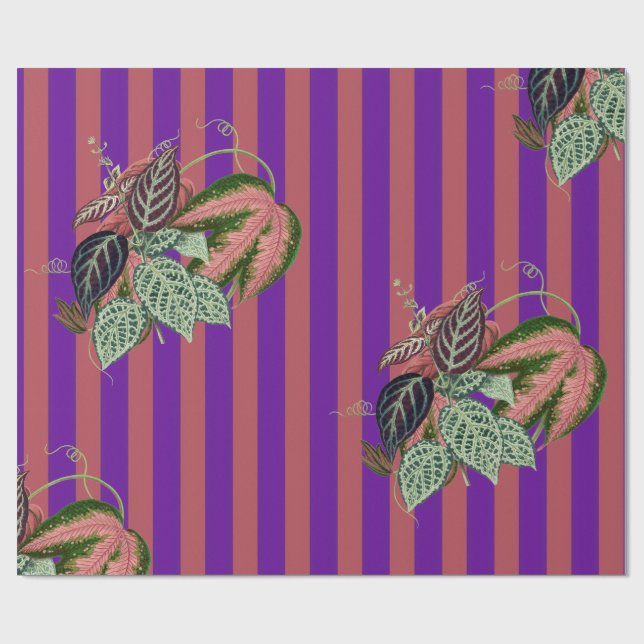 Papel De Regalo Berenjena (Superficie plana)
