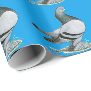 Papel De Regalo Berliner Tumbler Pigeon Blue Bar