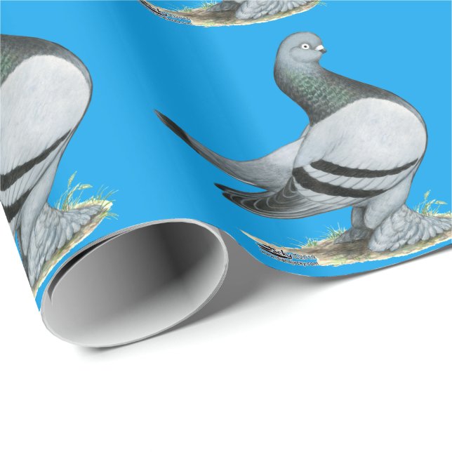 Papel De Regalo Berliner Tumbler Pigeon Blue Bar (Esquina del rollo)
