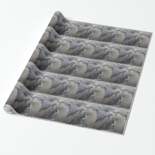 Papel De Regalo Besar nutrias de río