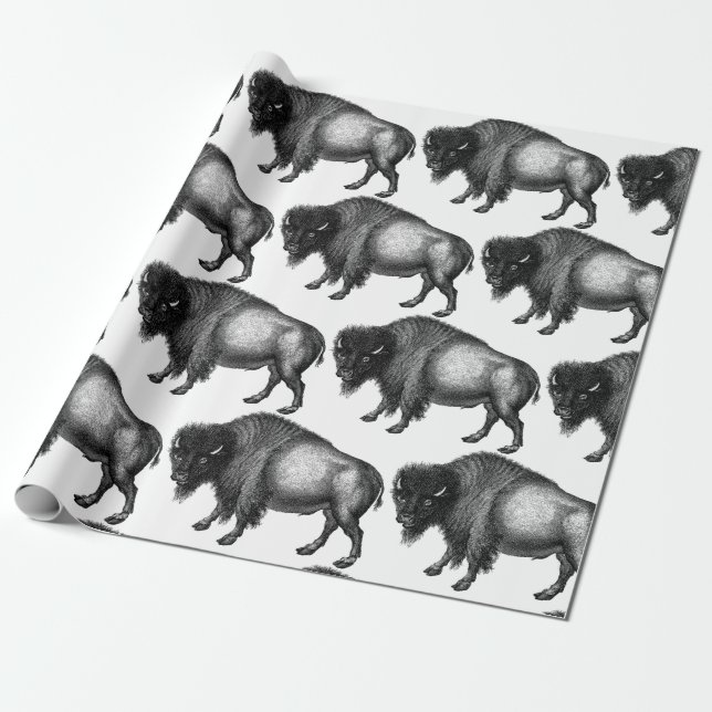 Papel De Regalo Big Bison Buffalo Thunder_Cove (Desenrollado)