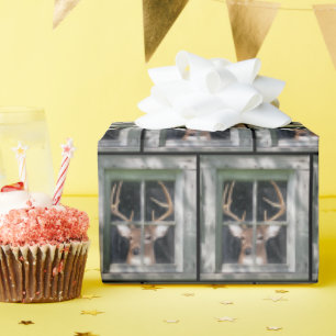 Papel De Regalo Big Buck Deer In Window