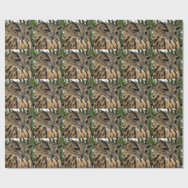 Papel De Regalo Big Owl Bubo Bubo Boo - Serie Halloween (Superficie plana)