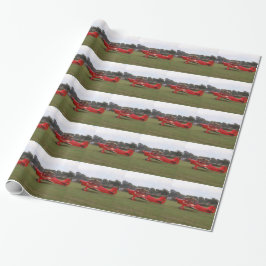 Papel De Regalo Biplano de Hatz