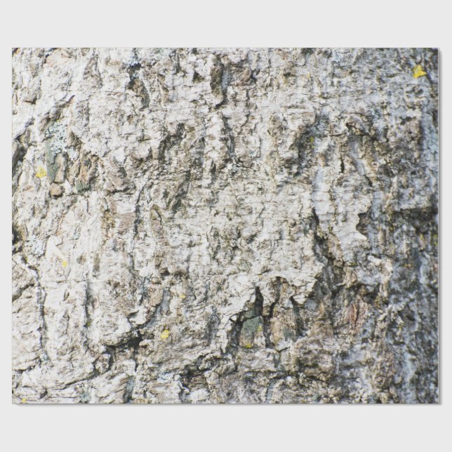 Papel De Regalo Birch bark pattern (Superficie plana)