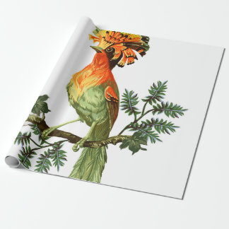 Papel De Regalo Bird of Paradise and exotic flowers on a white bac