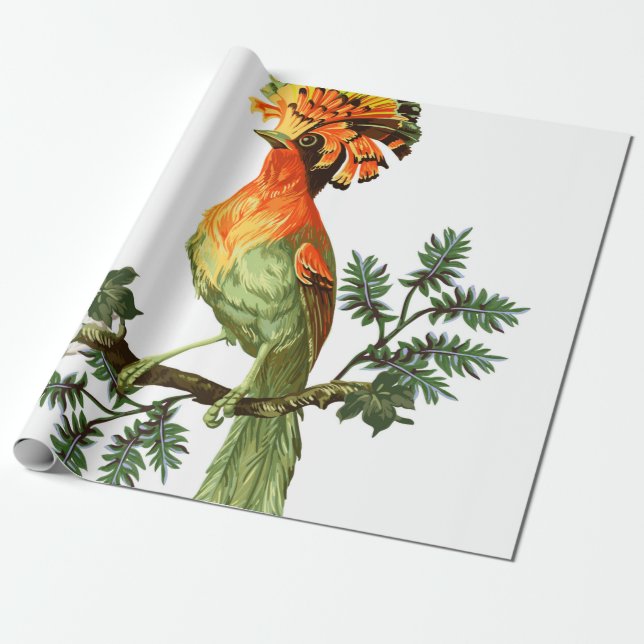 Papel De Regalo Bird of Paradise and exotic flowers on a white bac (Desenrollado)
