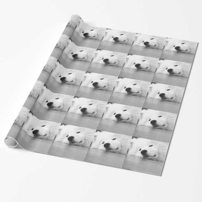 Papel De Regalo Blanco del perro de la foto del samoyedo (Desenrollado)