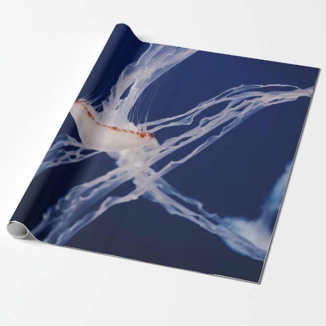PAPEL DE REGALO BLANCO JELLY FISH (Desenrollado)