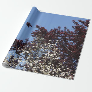 Papel de regalo blanco y azul rojo de la