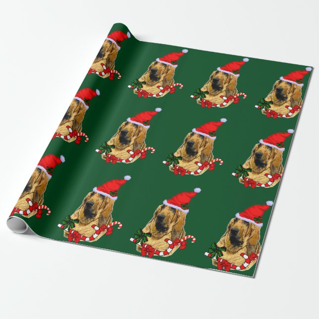 Papel De Regalo Bloodhound en los Navidades de Santa Hat (Desenrollado)