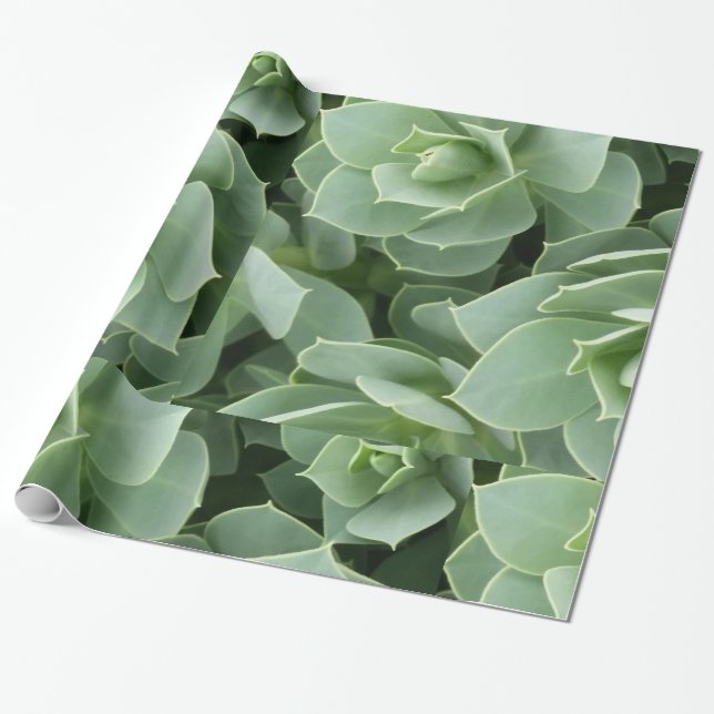 Papel De Regalo Bloques verdes (Desenrollado)