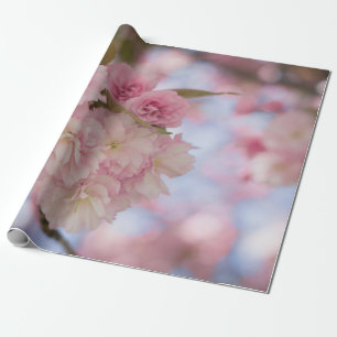 PAPEL DE REGALO BLOSSOM DE CHERRY PINK EN FOTOGRAFÍA CERRADA