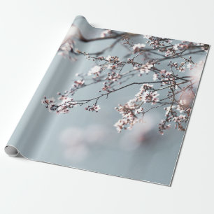 PAPEL DE REGALO BLOSSOM DE CHERRY PINK EN FOTOGRAFÍA CERRADA
