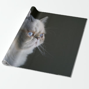 PAPEL DE REGALO BLUE GAZE