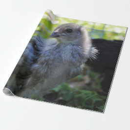 Papel De Regalo Bluebell