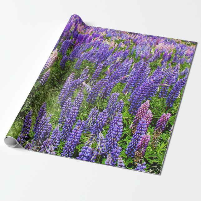 Papel De Regalo Bluebonnets Blue Floral Texas Texan Elegant (Desenrollado)