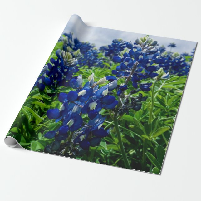 Papel De Regalo Bluebonnets Blue Floral Texas Texan Elegant (Desenrollado)