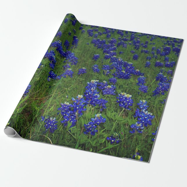 Papel De Regalo Bluebonnets Blue Floral Texas Texan Elegant (Desenrollado)