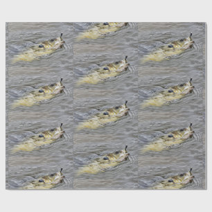 Papel De Regalo Bluegill Toma La Pesca Del Cerdo