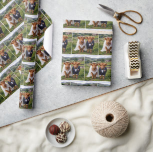 Papel De Regalo Boda Escocesa Vacas de las Tierras Altas