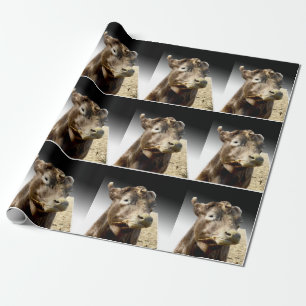 Papel De Regalo Bola Marrón En El Hay,